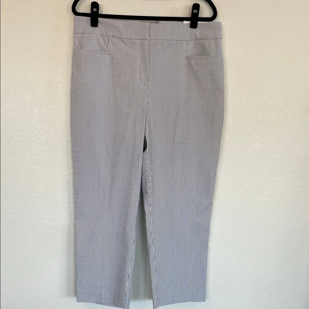 NWT Ann Taylor Blue and White Striped Cropped Pants